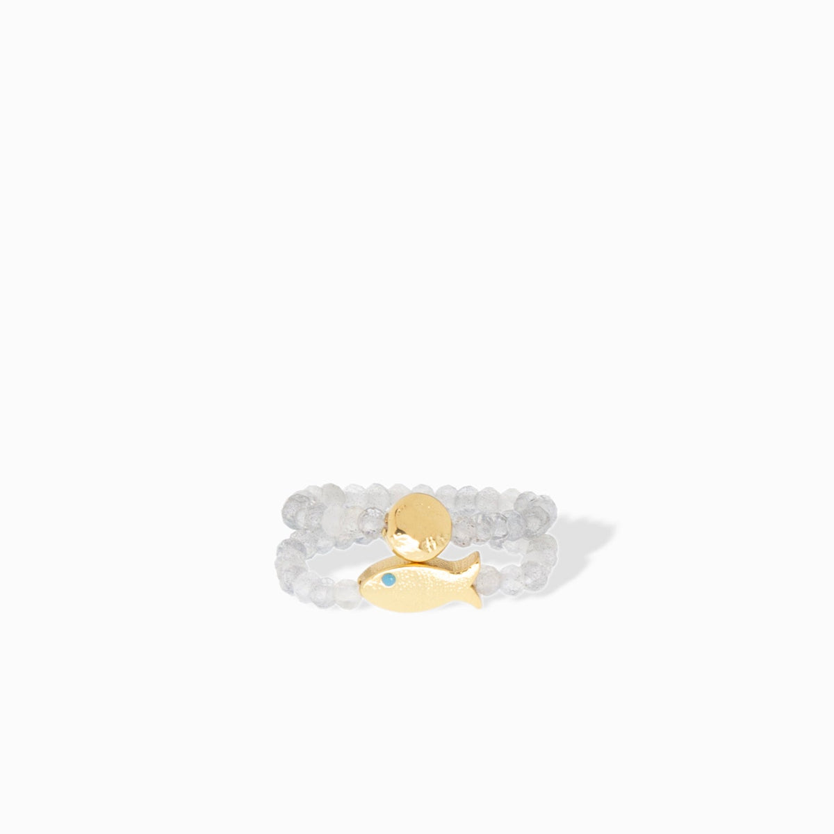 fish disc stretch ring